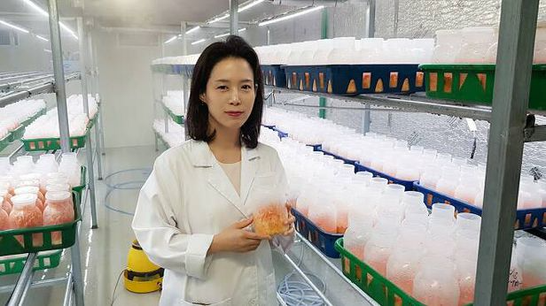 이화여대 식품영양학과를 졸업한 김효정 대표는 동충하초에 빠져 동충하초의 효능에 대해 연구했다. /바이오아라 제공
